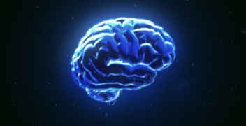 brain electrode technology