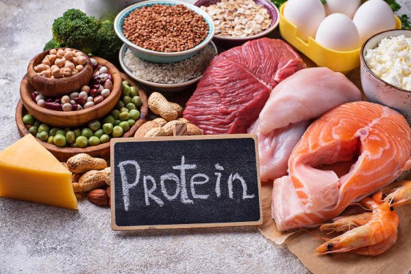 benefits of protein